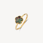 Ring - Blush - 14k Geelgoud
