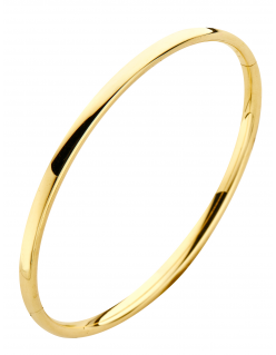 Ovaal 3 mm - Bangle armband - Fjory - 14k Geelgoud