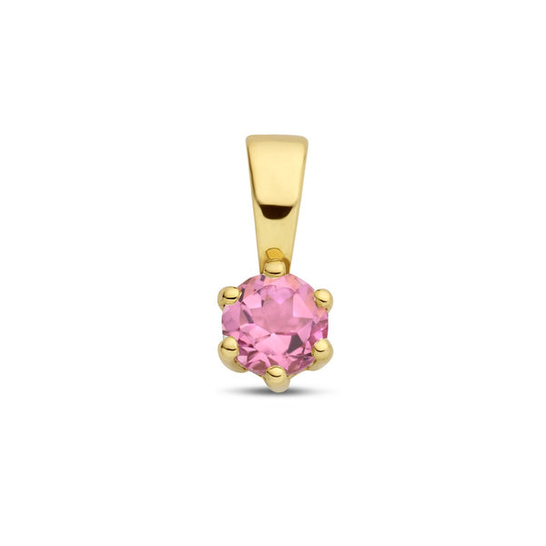 Met geboortesteen hanger OKTOBER: Roze toermalijn - 14 karaat geelgoud - Hutjens - 14k Geelgoud