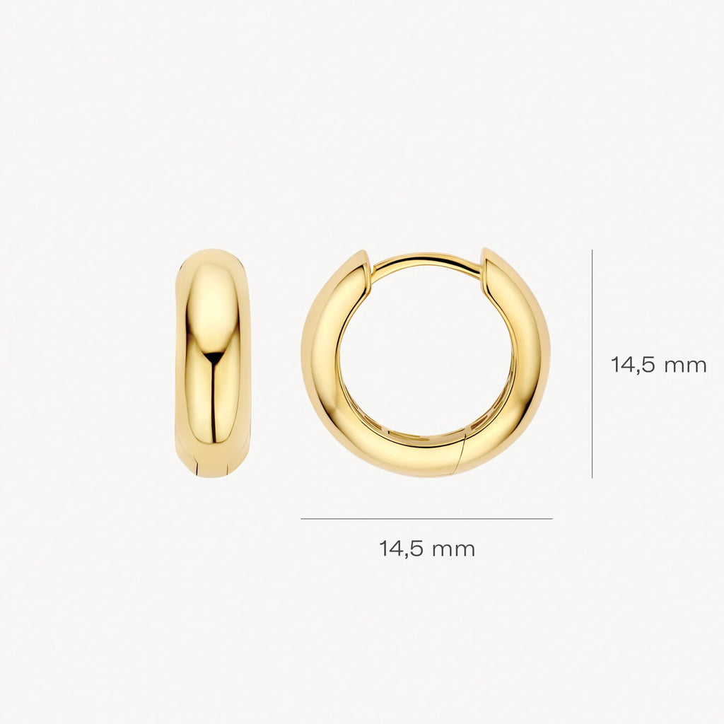 Oorstekers - Blush - 14k Geelgoud