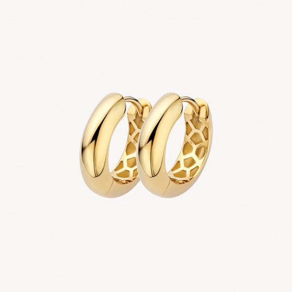Oorstekers - Blush - 14k Geelgoud