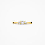 Ring - Blush Lab Grown - 14k Geelgoud