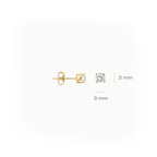 Oorstekers - Blush - 14k Geelgoud