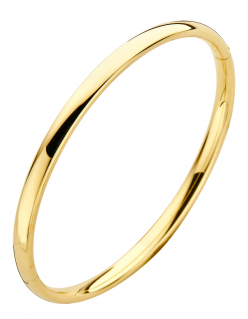 Ovaal 4 mm - Bangle armband - Fjory - 14k Geelgoud