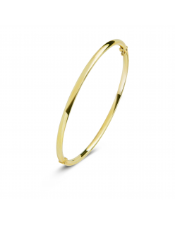 Rond 3 mm - Bangle armband - Fjory - 14k Geelgoud