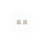 Oorstekers - Blush - 14k Geelgoud