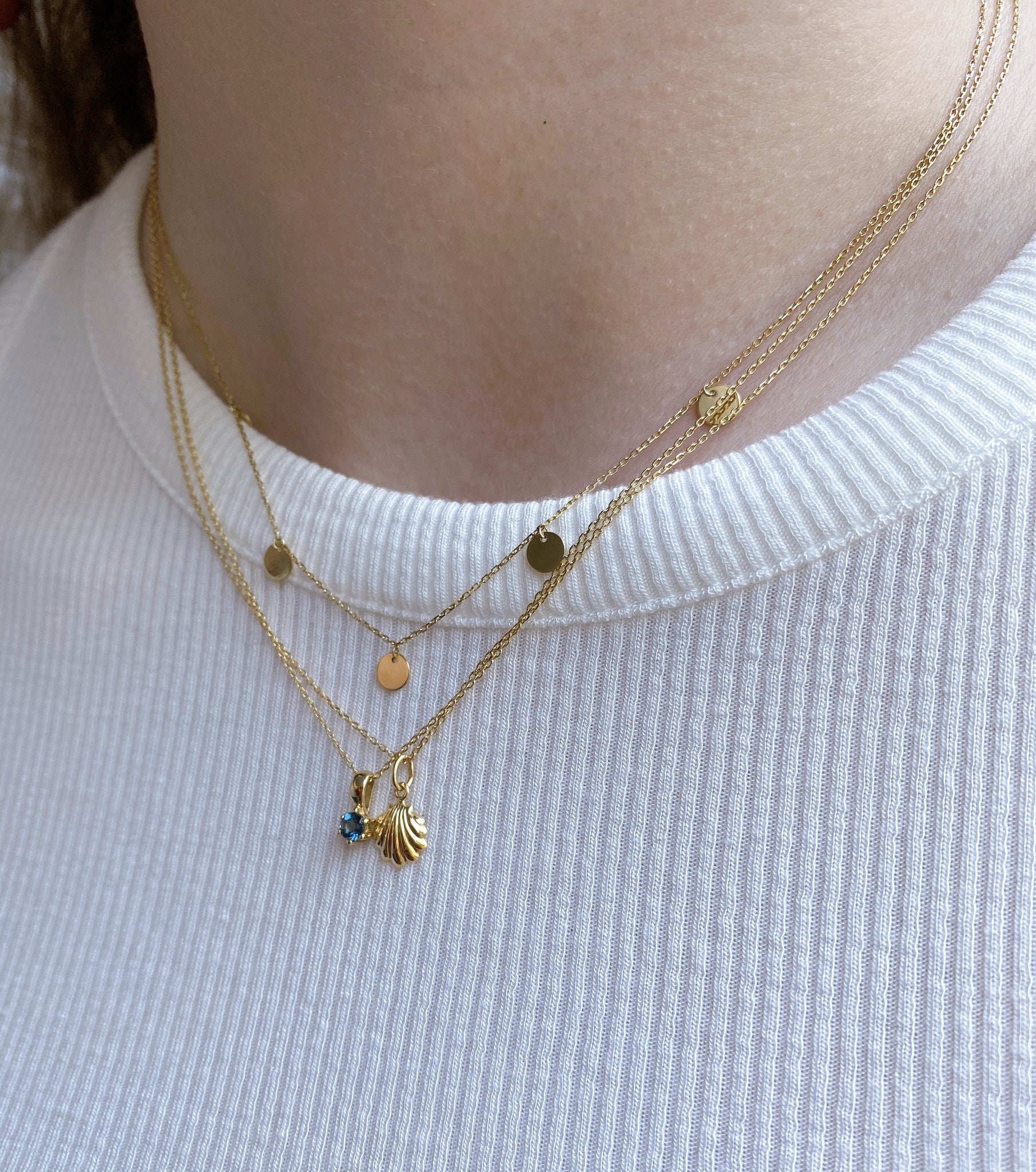 Disc ketting