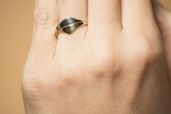 Gouden ring - Trio -  Combinatie geel met witgoud - Hutjens Trio - 14k Geelgoud